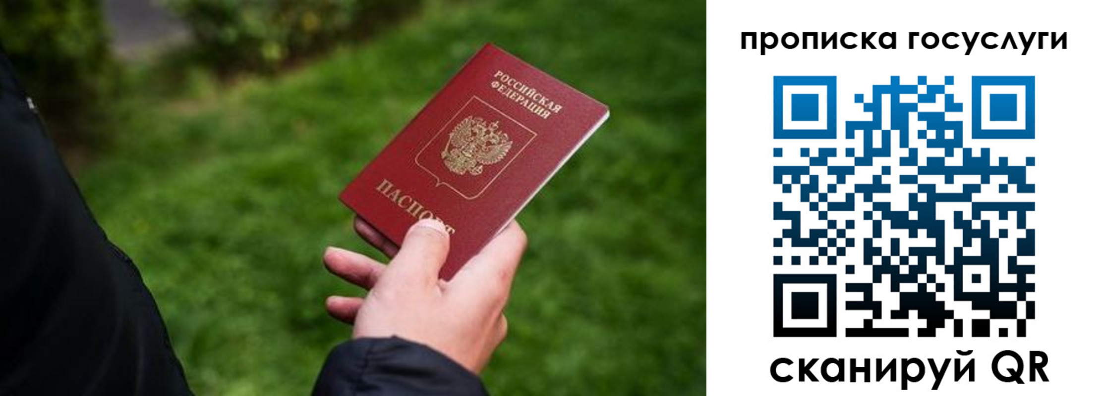 прописка для работы в Борзе